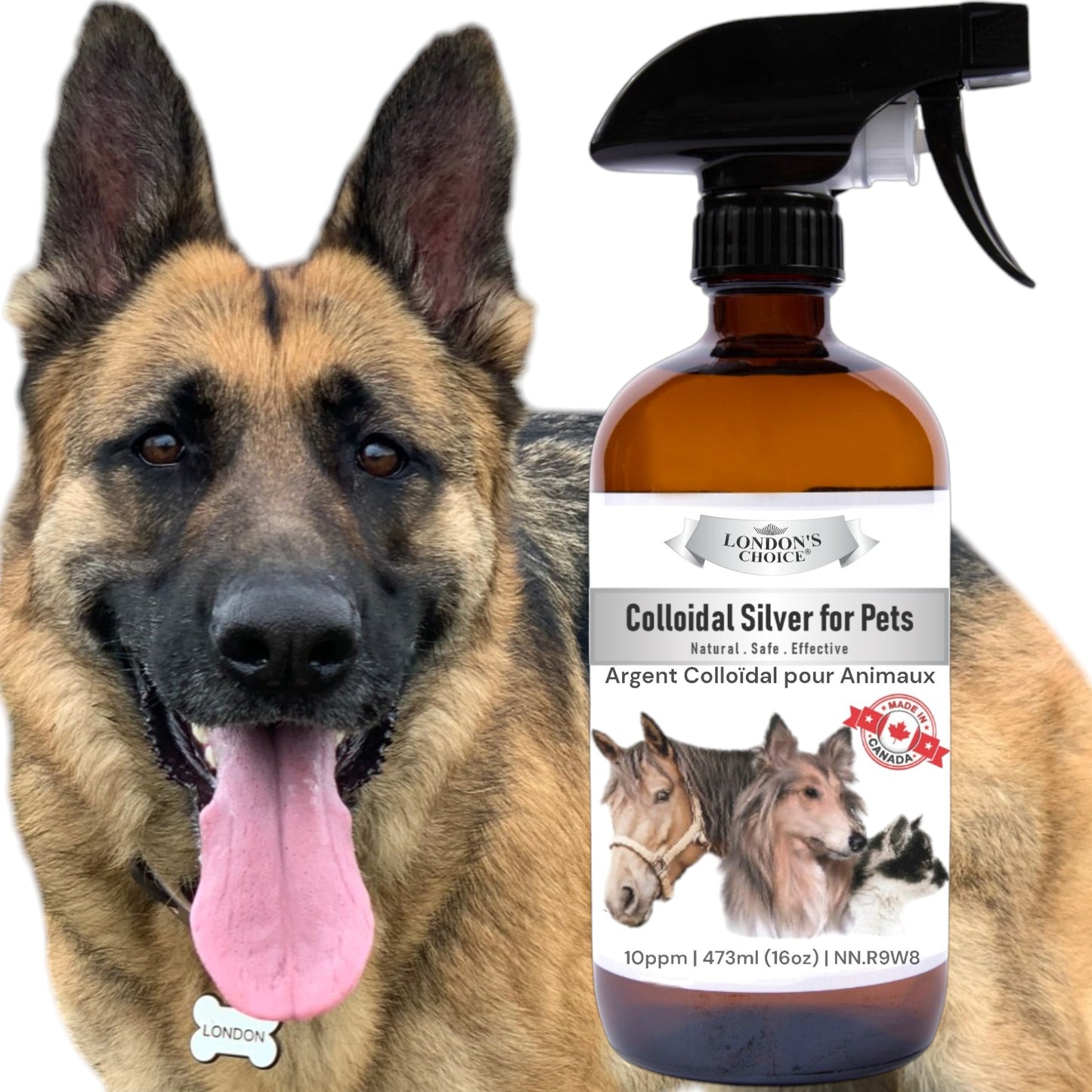 LONDON’S CHOICE - Colloidal Silver for Pets - 10ppm