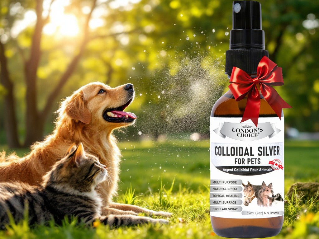 LONDON’S CHOICE - Colloidal Silver for Pets - 10ppm