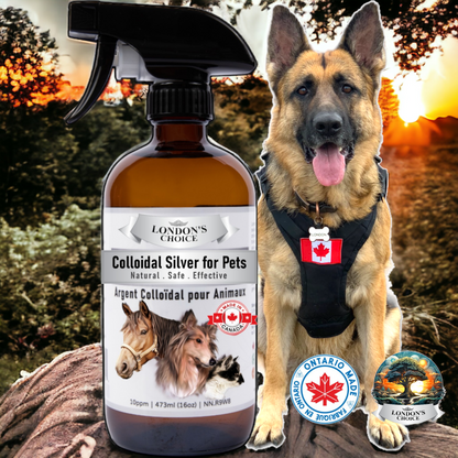 LONDON’S CHOICE - Colloidal Silver for Pets - 10ppm